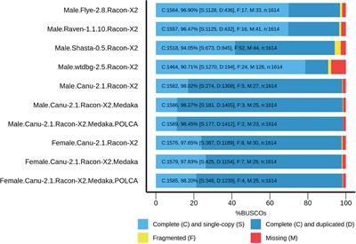 Genome Assembly and Sex-Determining Region of Male and Female Populus × sibirica